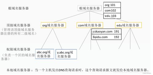 DNS域名解析系统 计算机网络的地址簿